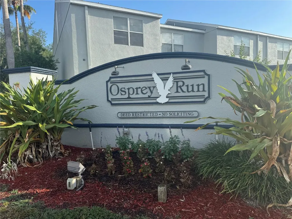 6229 Osprey Lake Circle Riverview FL 33578