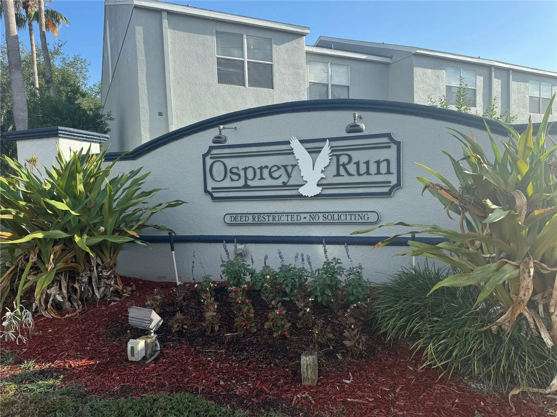 6229 Osprey Lake Circle Riverview FL 33578