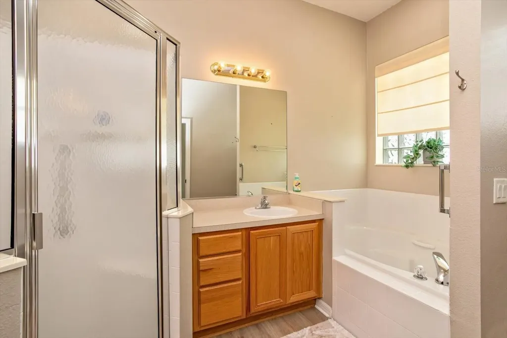25206 Ormond Court Leesburg FL 34748