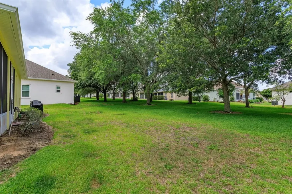 25206 Ormond Court Leesburg FL 34748