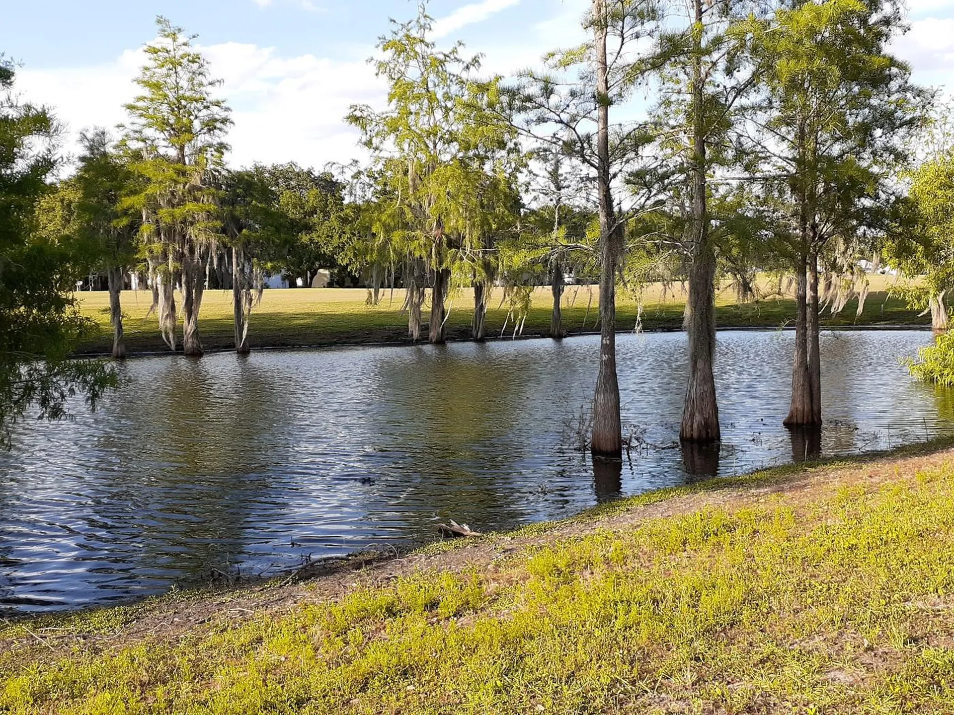 25206 Ormond Court Leesburg FL 34748
