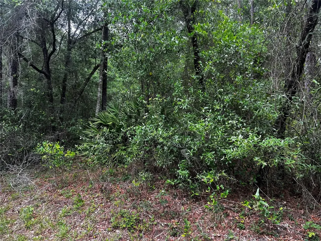 Tbd SW 186th Court Dunnellon FL 34432