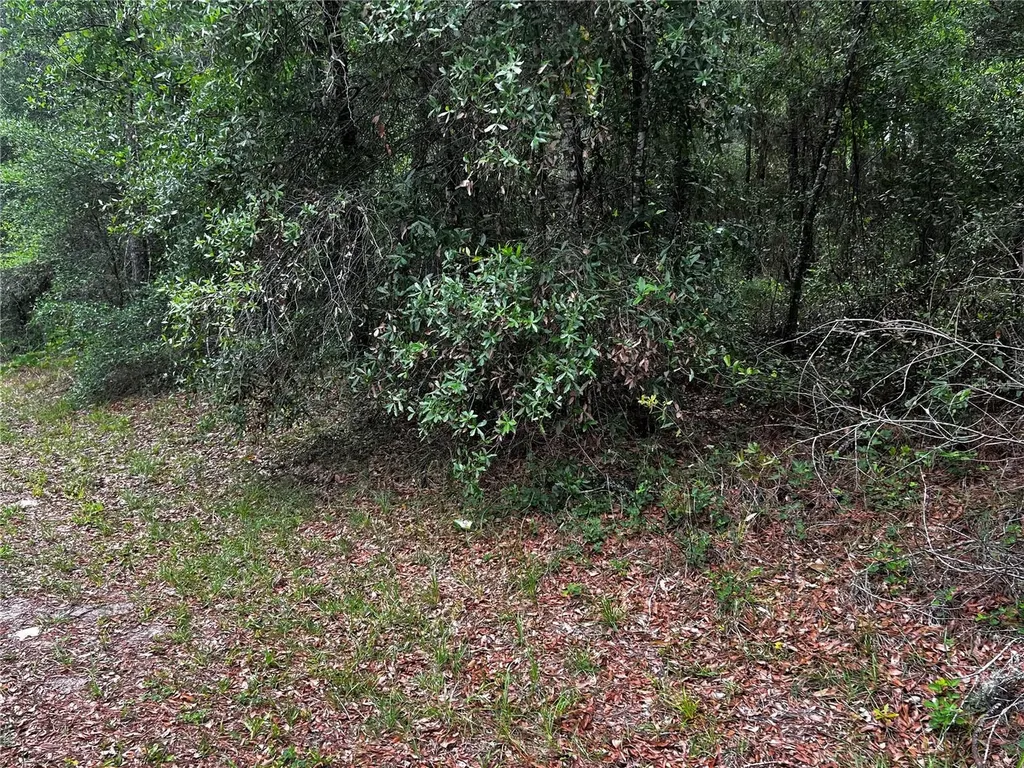 Tbd SW 186th Court Dunnellon FL 34432