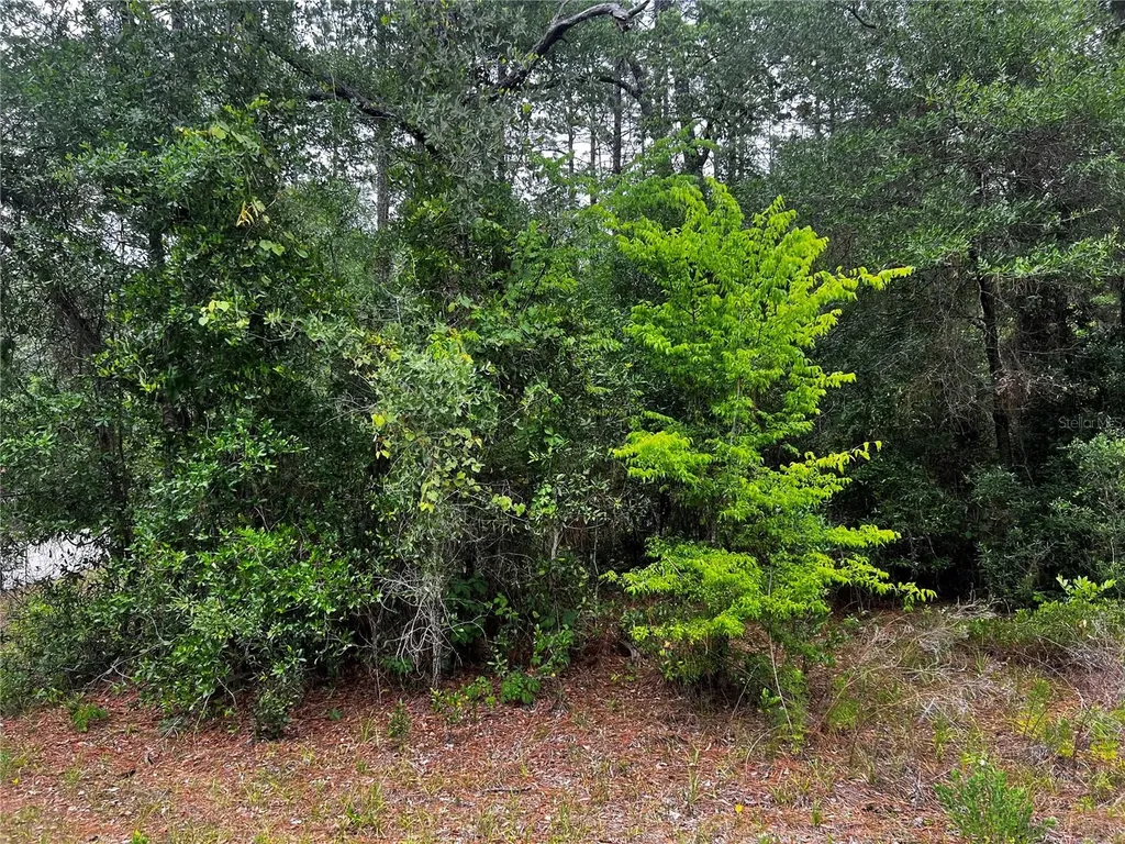 Tbd SW 186th Court Dunnellon FL 34432
