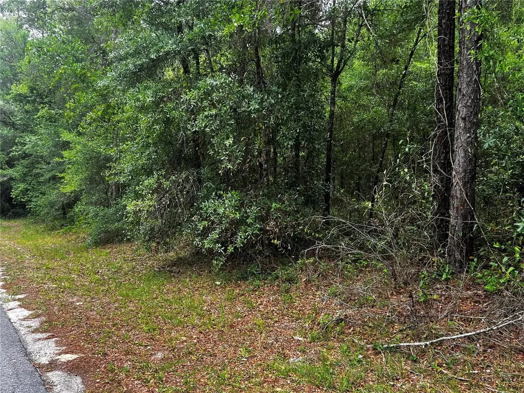 Tbd SW 186th Court Dunnellon FL 34432