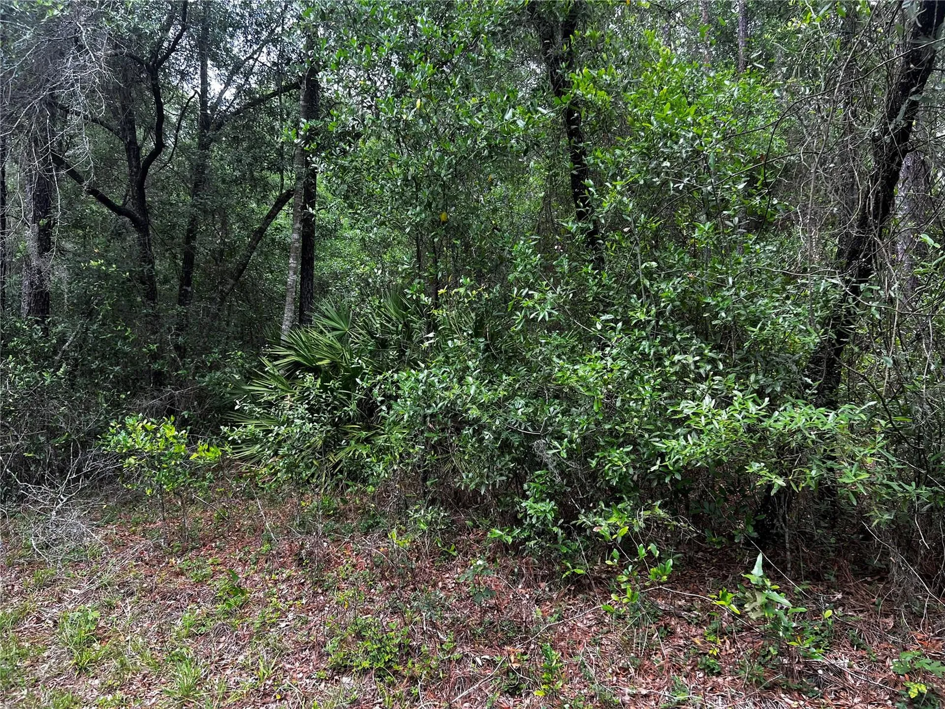 Tbd SW 186th Court Dunnellon FL 34432