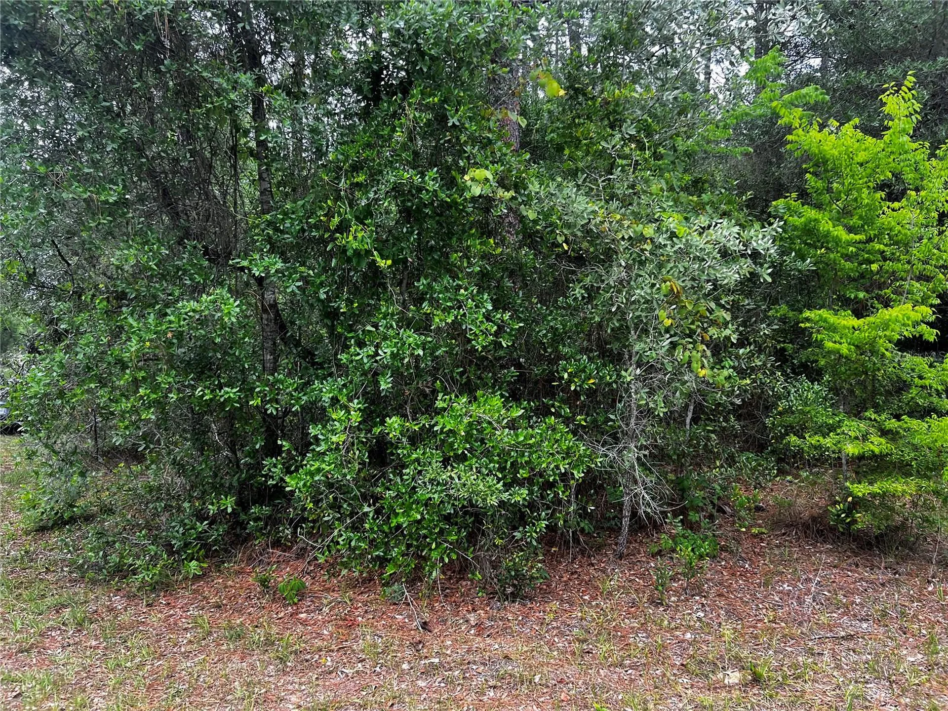 Tbd SW 186th Court Dunnellon FL 34432
