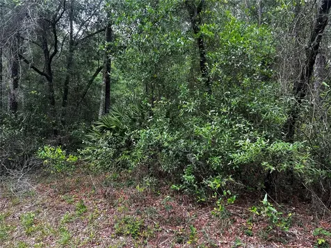TBD SW 186th Court Dunnellon FL 34432
