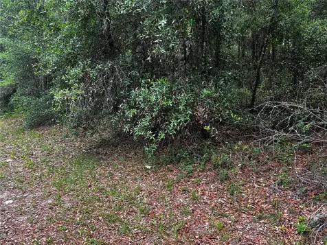 TBD SW 186th Court Dunnellon FL 34432
