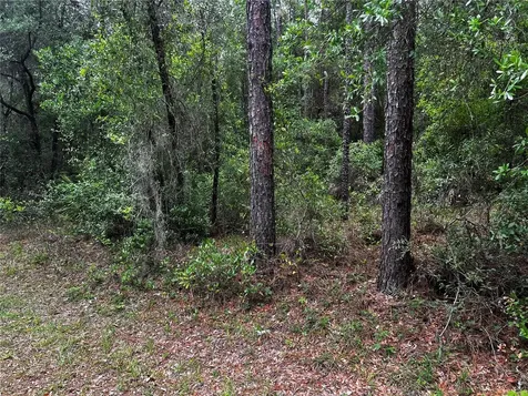 TBD SW 186th Court Dunnellon FL 34432