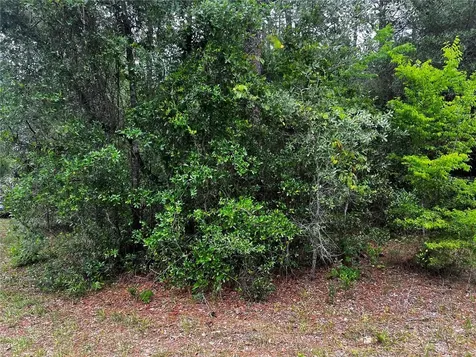 Tbd SW 186th Court Dunnellon FL 34432