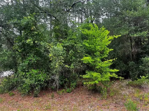 Tbd SW 186th Court Dunnellon FL 34432
