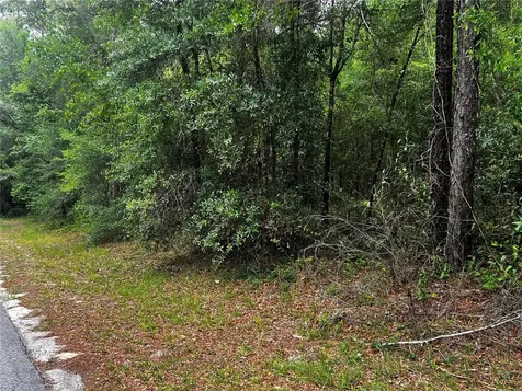 Tbd SW 186th Court Dunnellon FL 34432