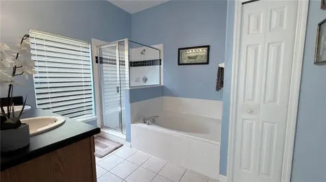 334 Cadiz Loop Davenport FL 33837