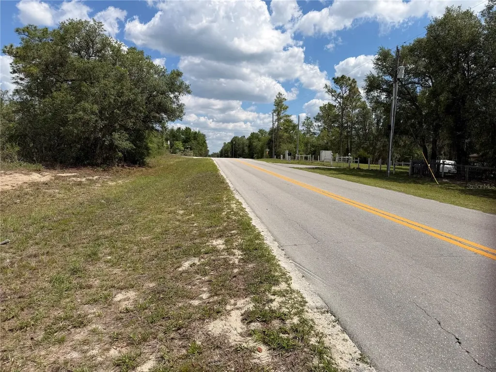 Tbd NE 105th Avenue Bronson FL 32621