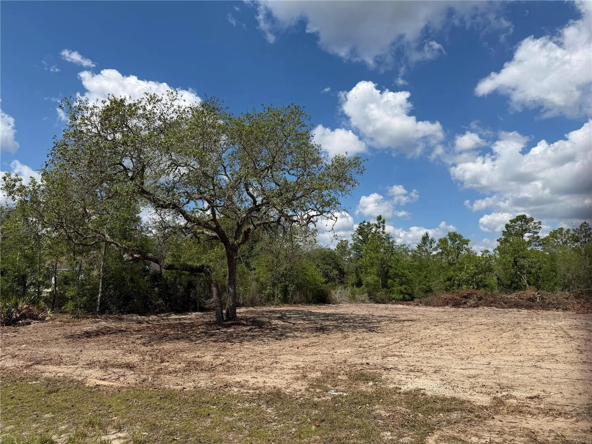 Tbd NE 105th Avenue Bronson FL 32621
