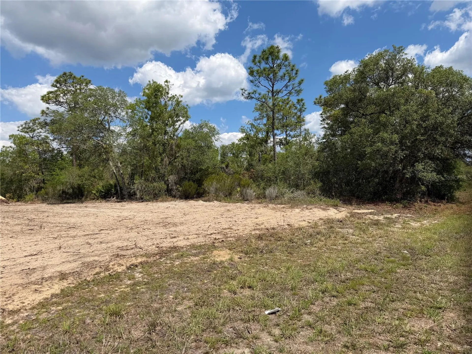 Tbd NE 105th Avenue Bronson FL 32621