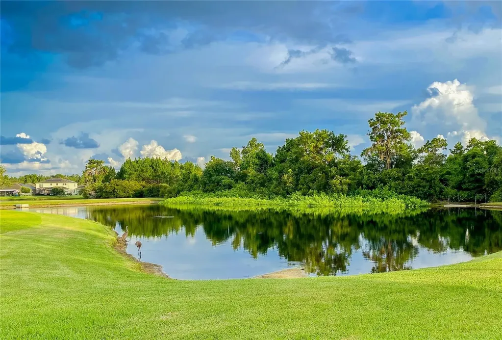 20127 Oakflower Avenue Tampa FL 33647
