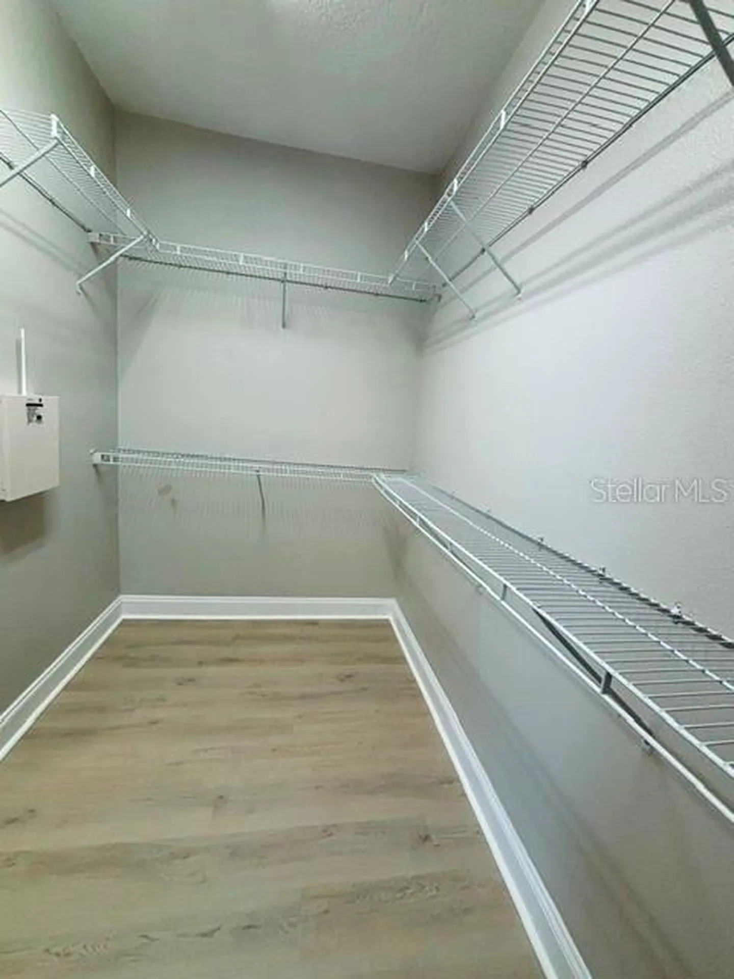 20127 Oakflower Avenue Tampa FL 33647