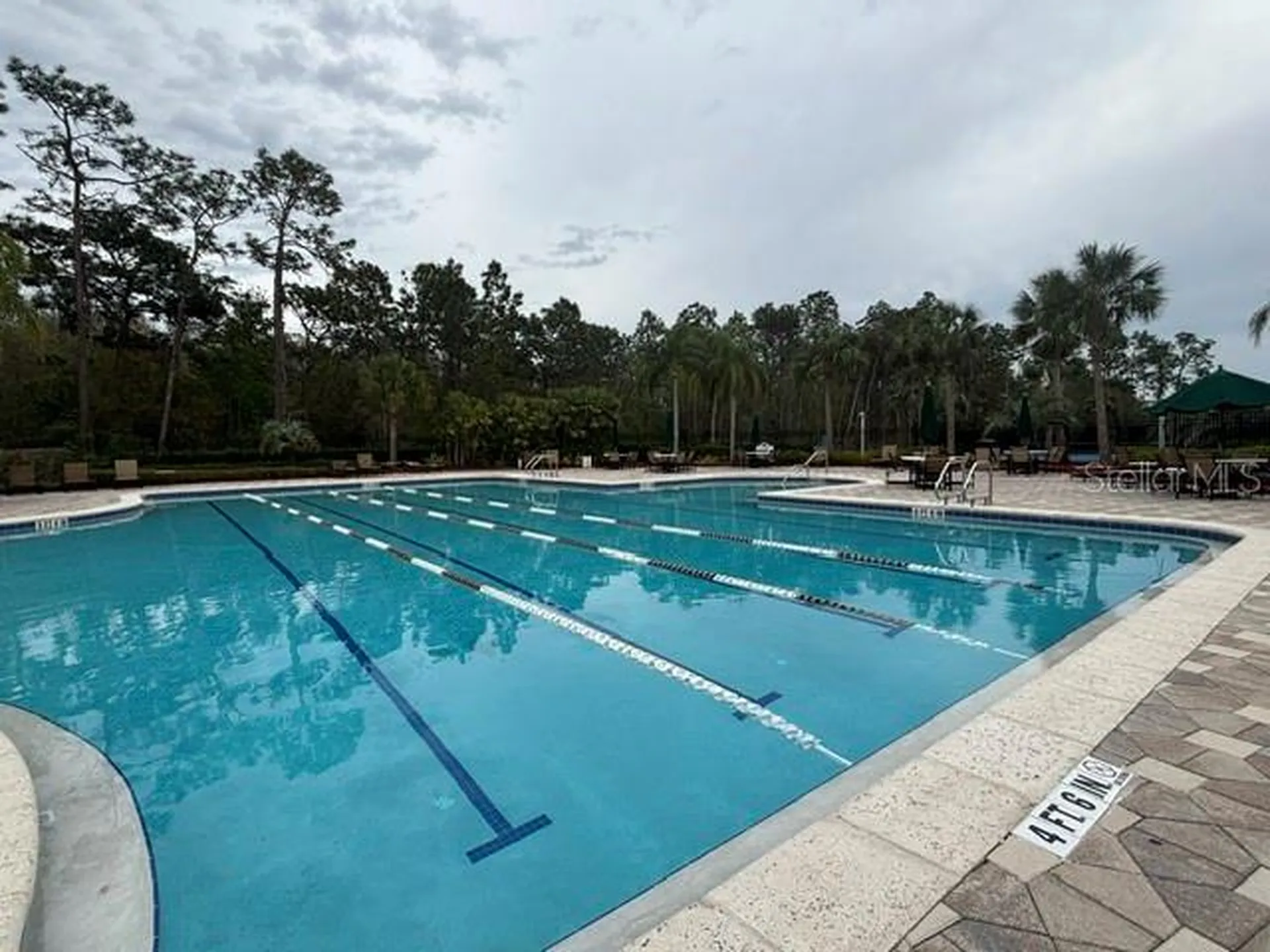 20127 Oakflower Avenue Tampa FL 33647