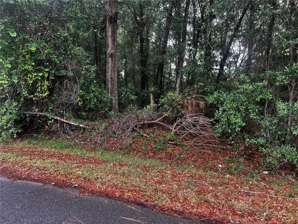 Tbd NW 61st Lane Ocala FL 34482