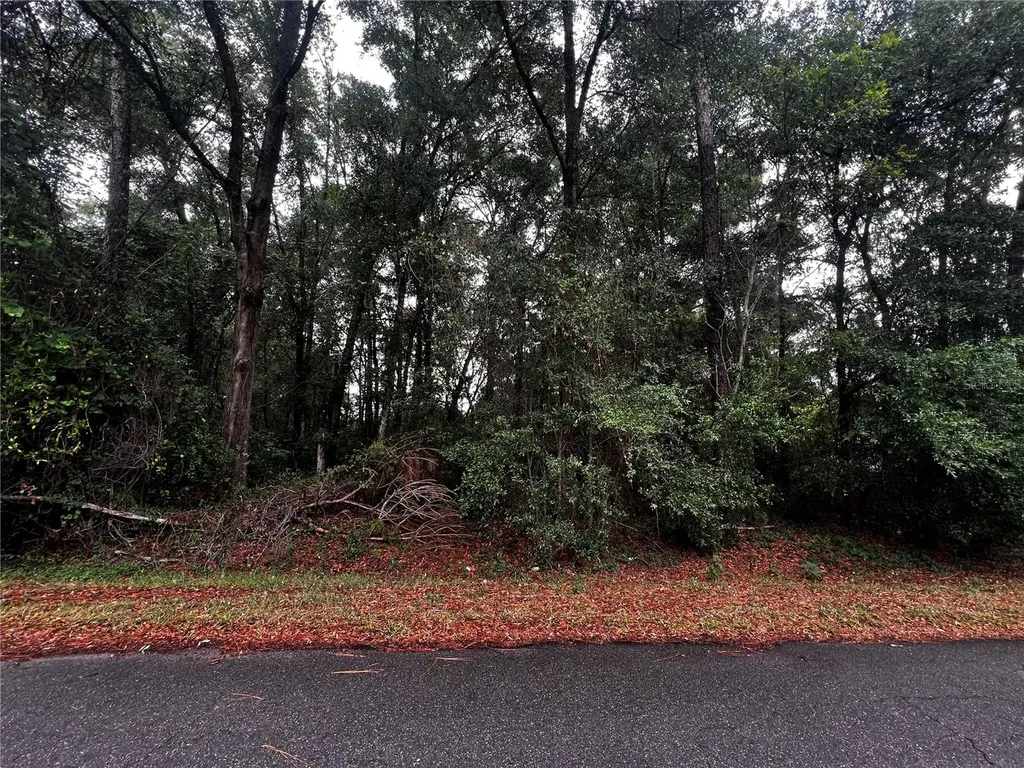 Tbd NW 61st Lane Ocala FL 34482