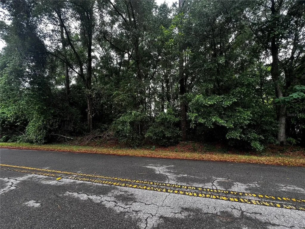 Tbd NW 61st Lane Ocala FL 34482