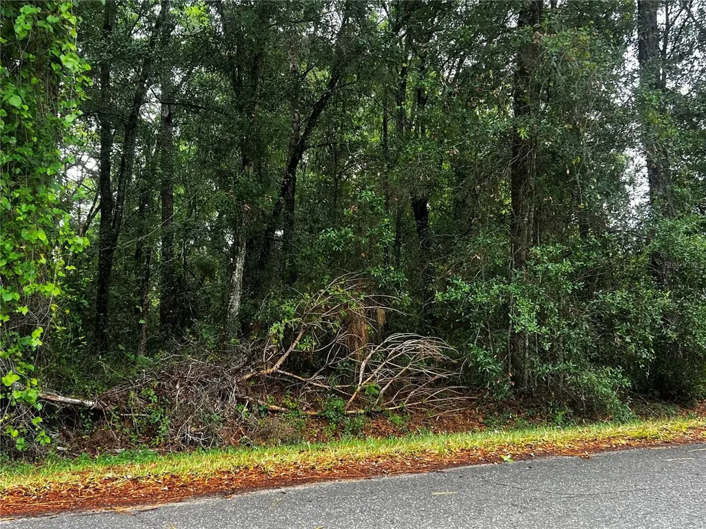 Tbd NW 61st Lane Ocala FL 34482