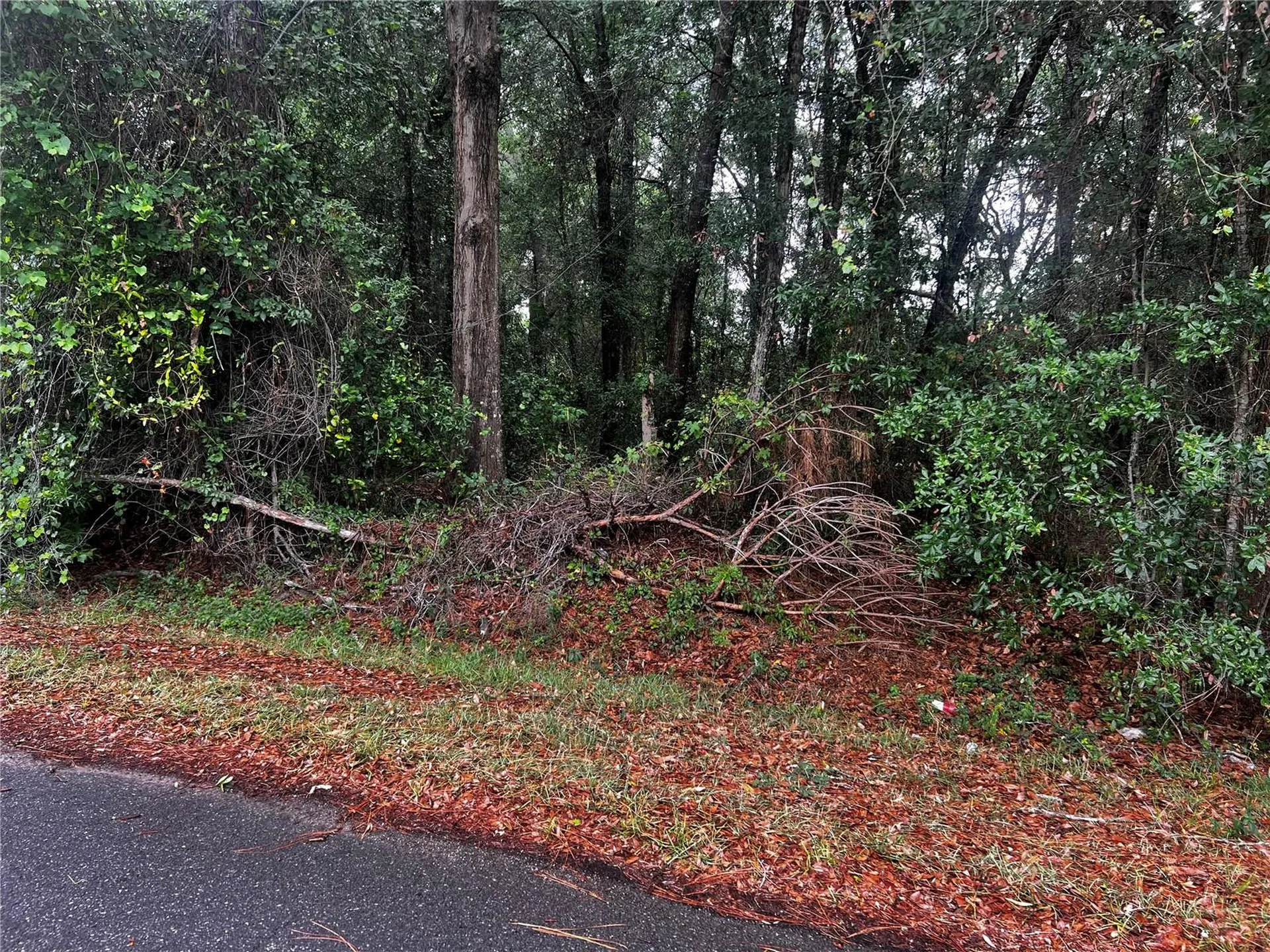 Tbd NW 61st Lane Ocala FL 34482