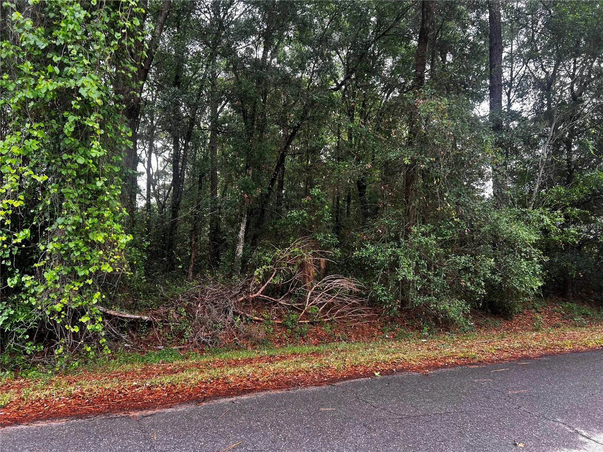 Tbd NW 61st Lane Ocala FL 34482