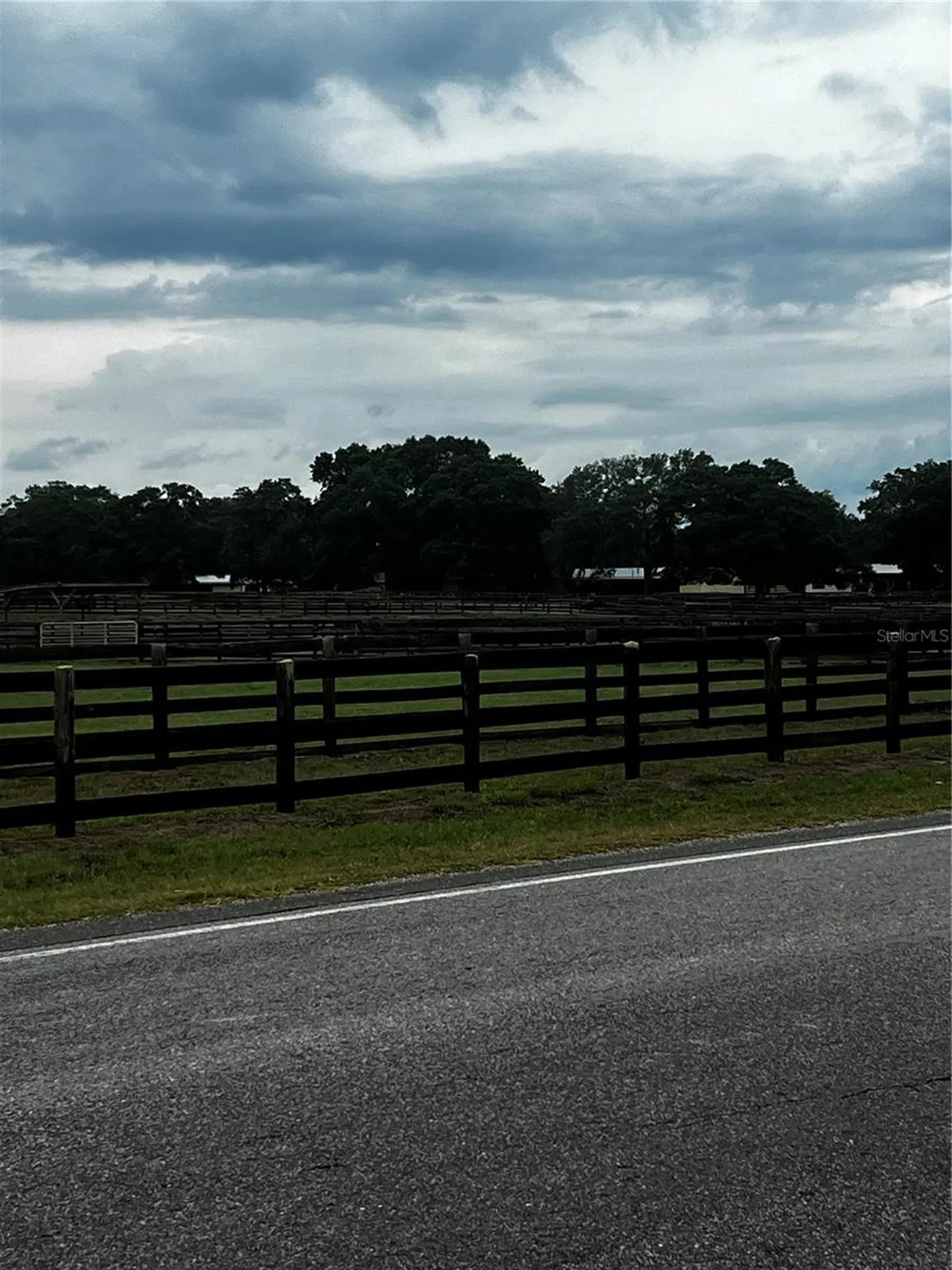 Tbd NW 61st Lane Ocala FL 34482