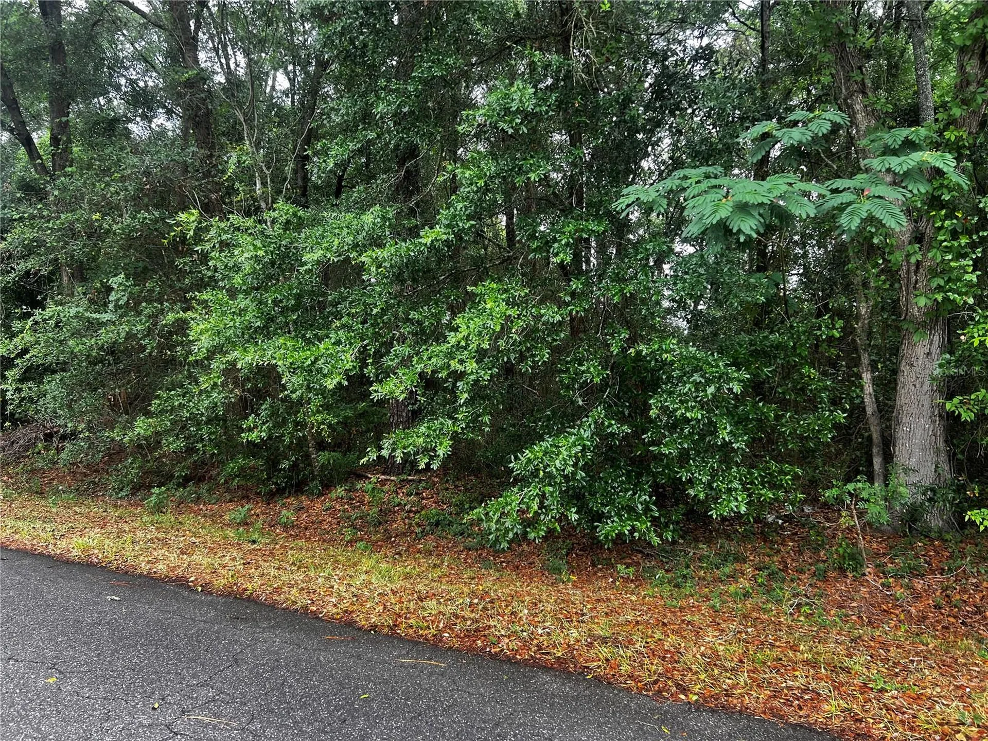 Tbd NW 61st Lane Ocala FL 34482