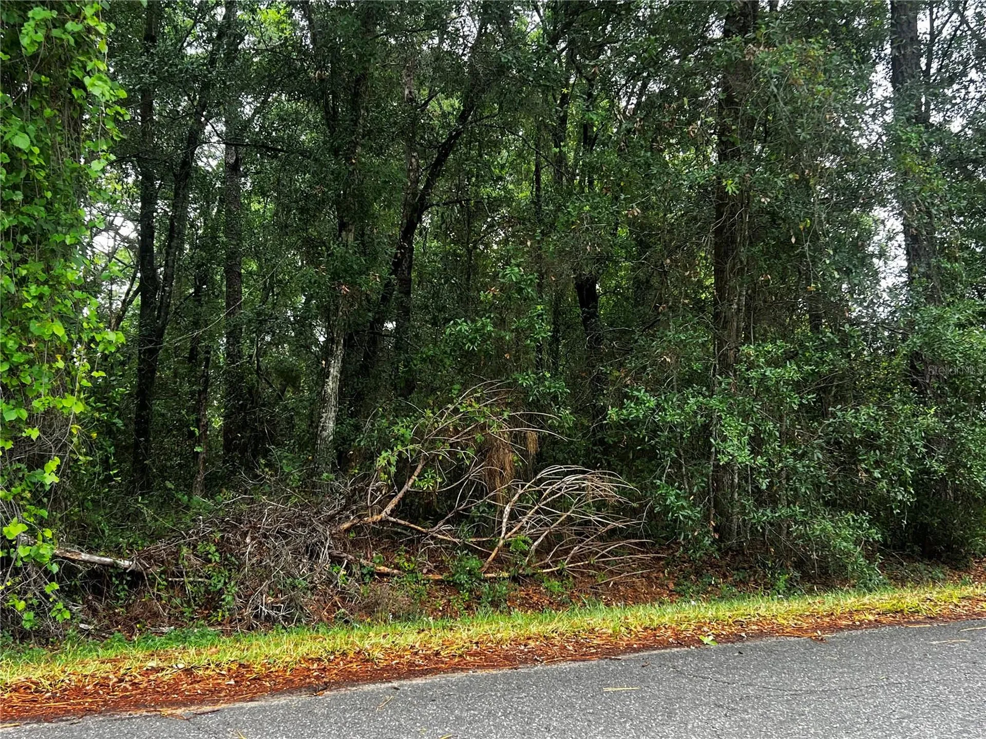 Tbd NW 61st Lane Ocala FL 34482