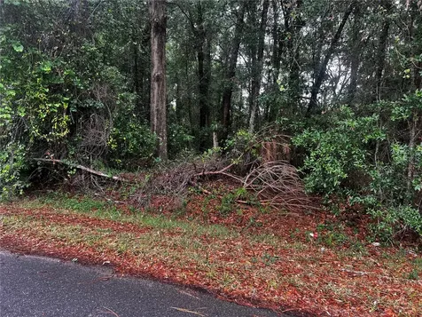 Tbd NW 61st Lane Ocala FL 34482