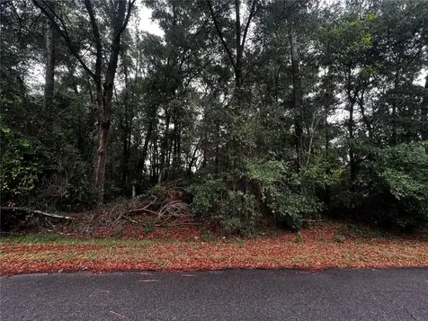 Tbd NW 61st Lane Ocala FL 34482