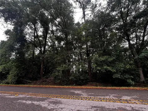 Tbd NW 61st Lane Ocala FL 34482