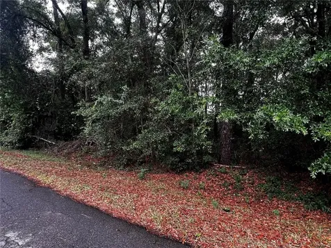 Tbd NW 61st Lane Ocala FL 34482