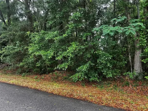 Tbd NW 61st Lane Ocala FL 34482