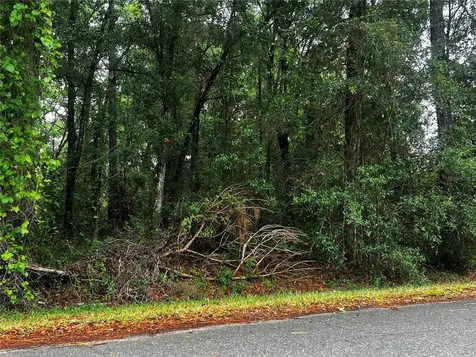 Tbd NW 61st Lane Ocala FL 34482