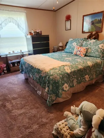1112 Avocado Boulevard Bunnell FL 32110