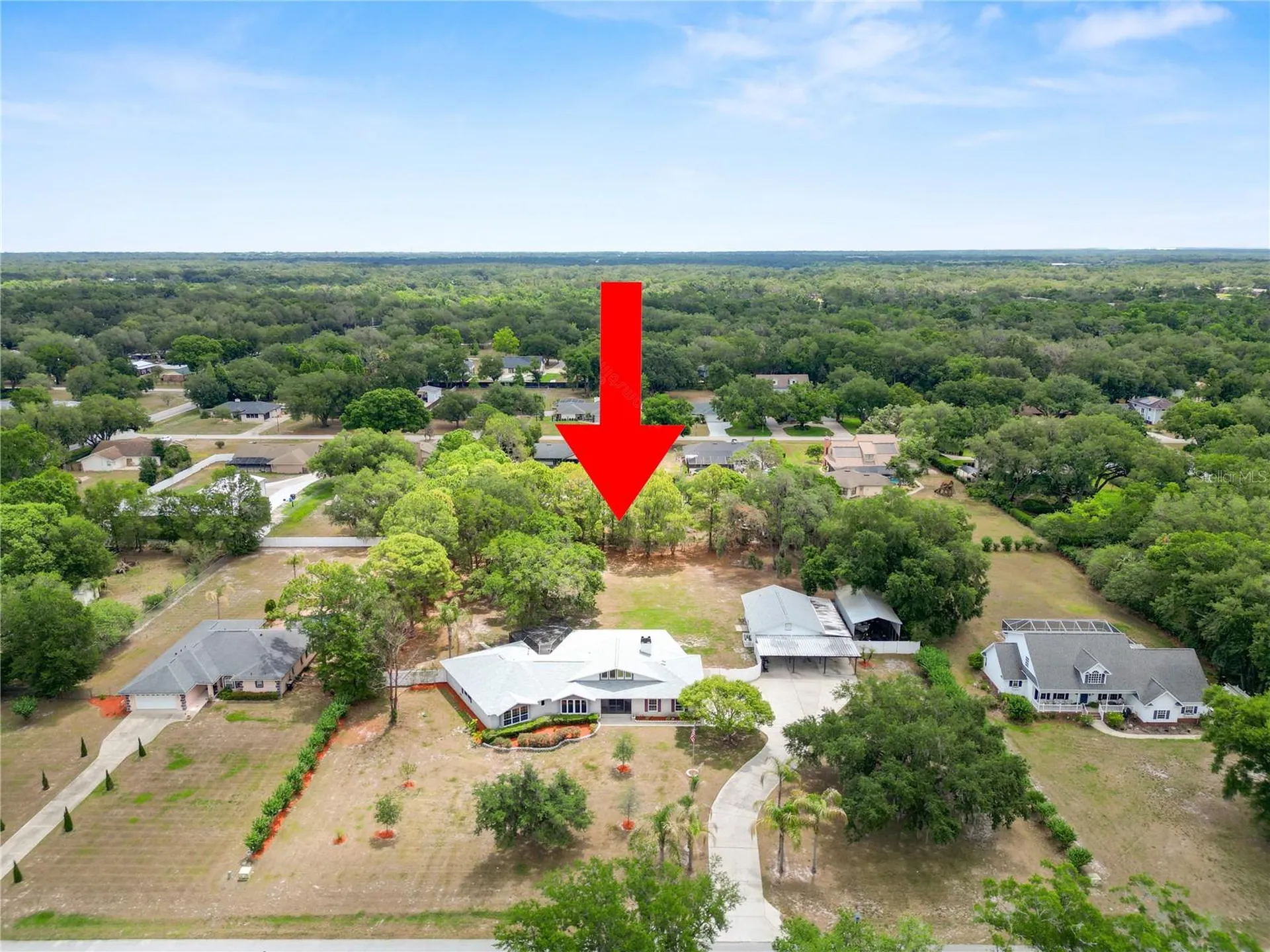 6230 Forestwood Drive W Lakeland FL 33811