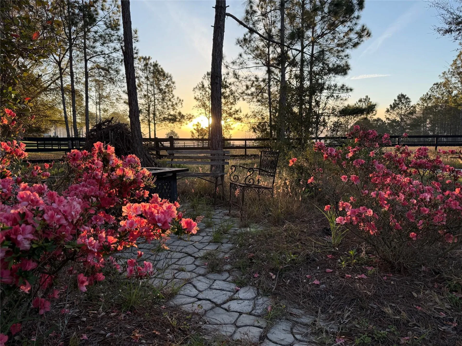 35620 Pinegate Trail Eustis FL 32736
