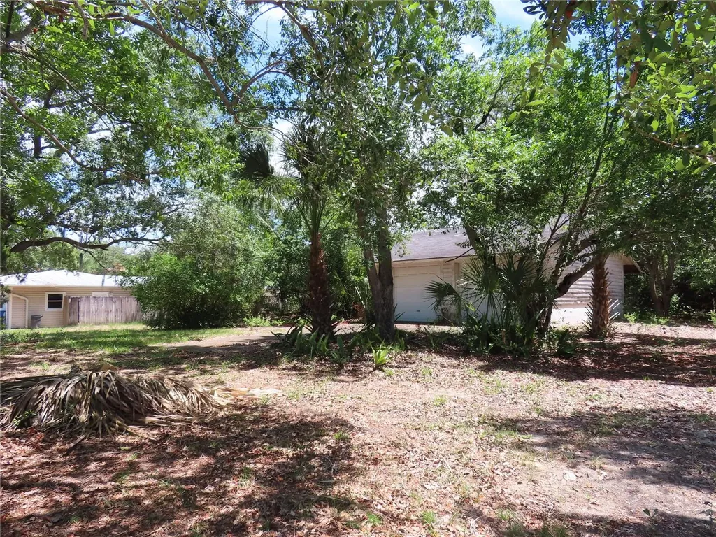 Mayo Crystal Beach FL 34681
