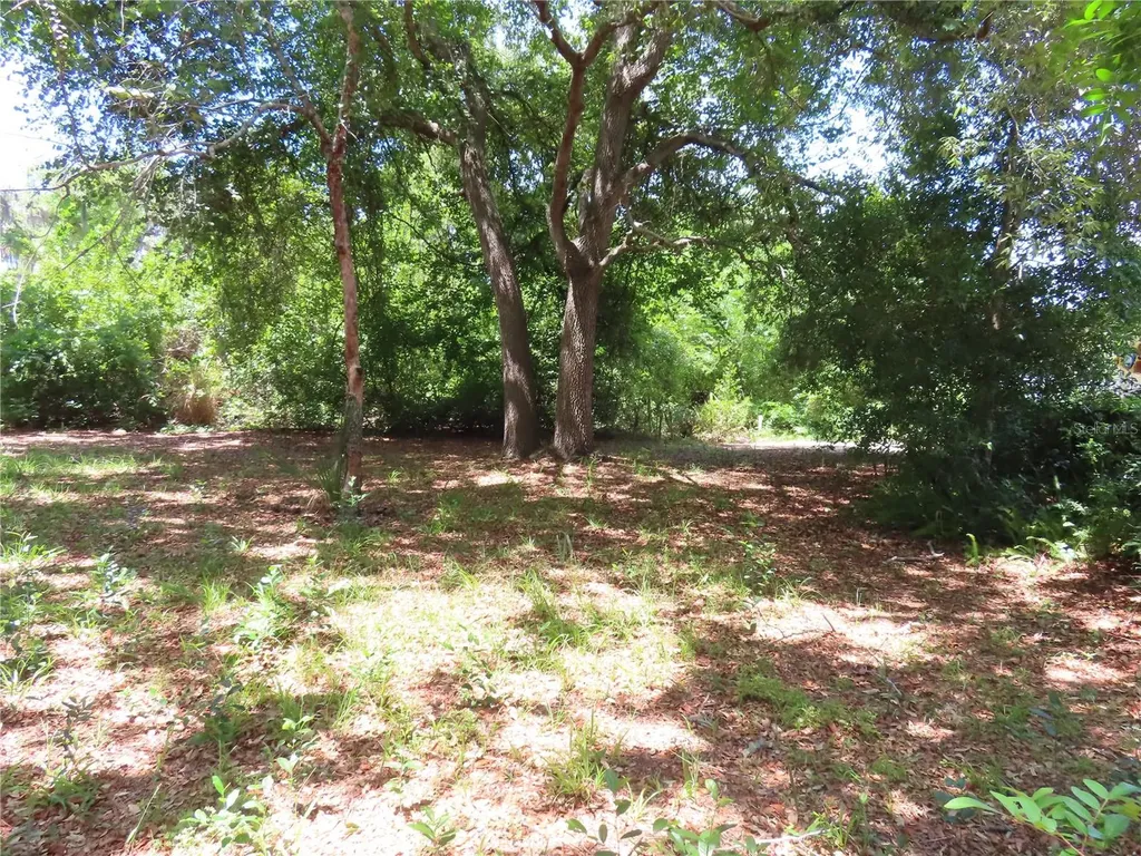 Mayo Crystal Beach FL 34681