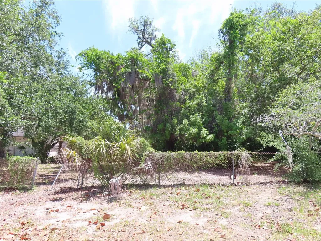 Mayo Crystal Beach FL 34681