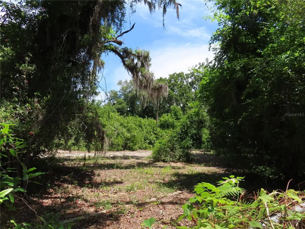 Mayo Crystal Beach FL 34681