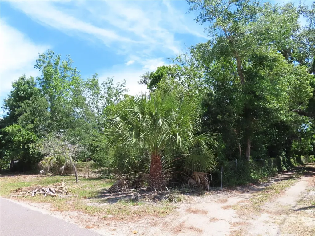Mayo Crystal Beach FL 34681
