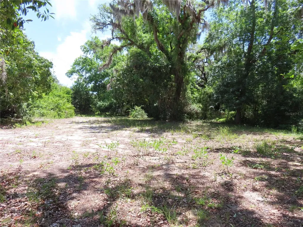 Mayo Crystal Beach FL 34681