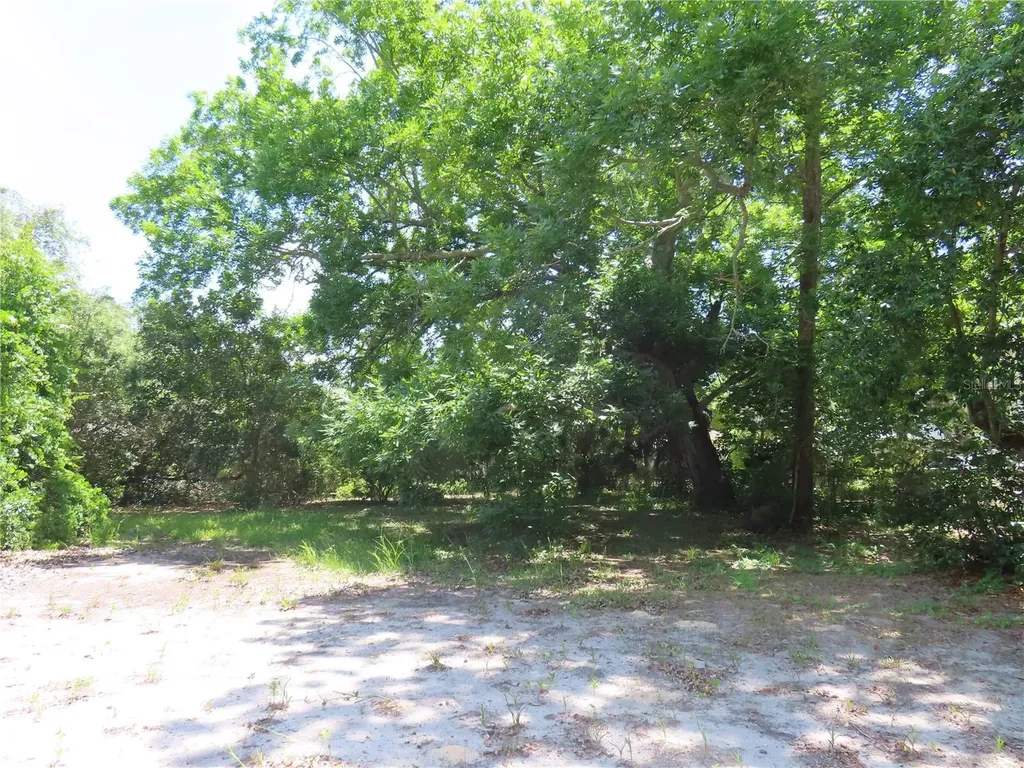 Mayo Crystal Beach FL 34681
