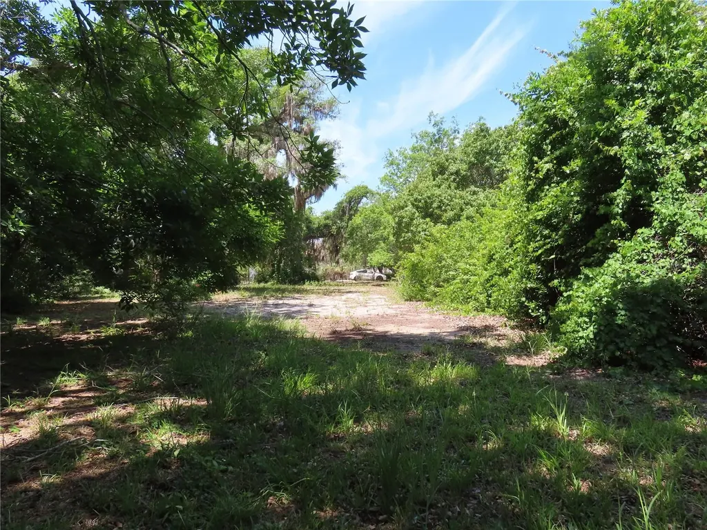 Mayo Crystal Beach FL 34681